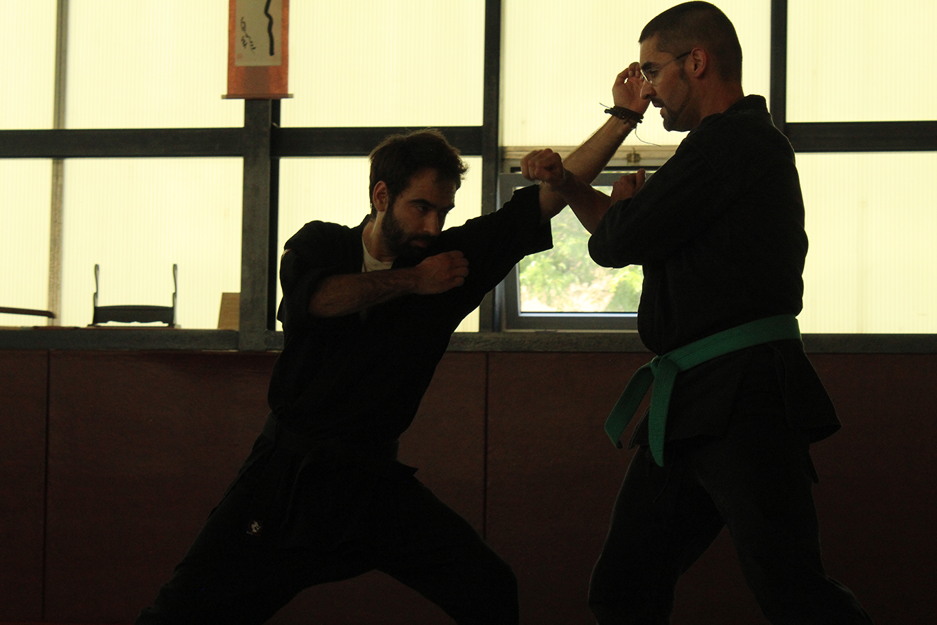 Entraînement de ninjutsu traditionnel encadré par l'AMCJ